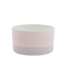 s.b. 39 theekop lichtblauw roze paars
