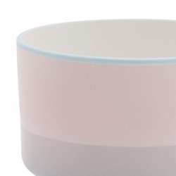 s.b. 39 theekop lichtblauw roze paars
